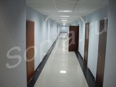 ���� ���������