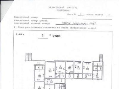 ���� ��������� 80 ��. �. � ��������. ��� ��������.