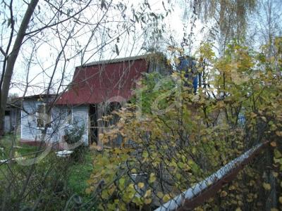 ������ ���� � 80 ��. ���������� �����