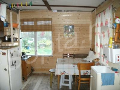 ������ ���� � 80 ��. ���������� �����