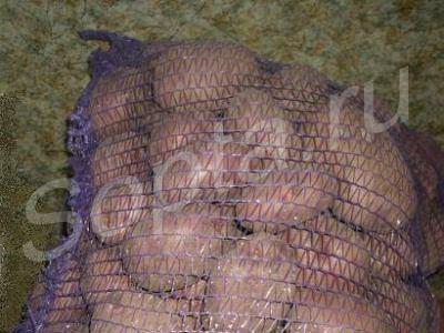 ��������� ������ ��� ��������