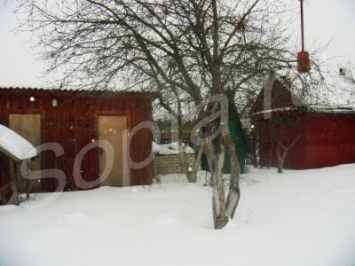 ���-���� � 1.5 ��. �� �. ����� �� ������������ �.