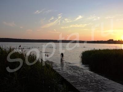 ��������� ������� 1-6�� �����������  �-�  � �����