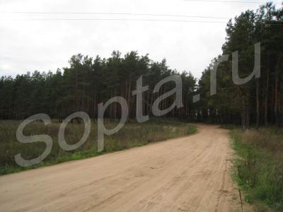 ������� �� ����� � �������� �������  