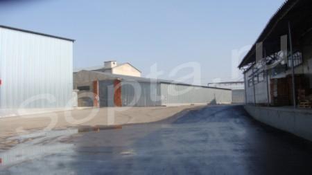 ����� ������ � ������