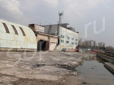 ������������ ������ ������������ ����