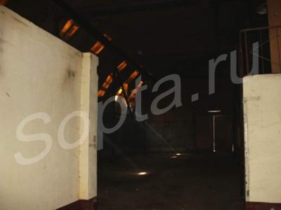 ������������ ������ ������������ ����