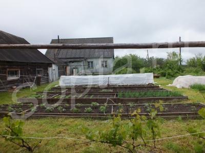 ��� � ������� 125� �� ������� 50��� 230�� �� ����