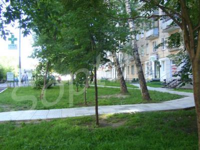 �������� ��������� � ����� �����������