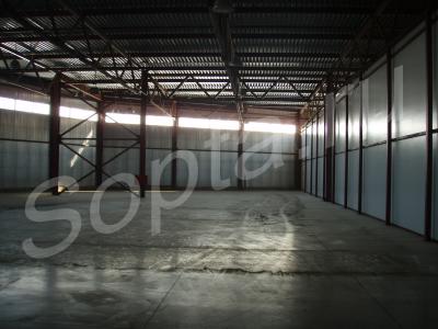 ���� ����� 1370��.�  � ���������