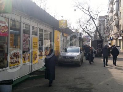 �������� ��������, �. �����������