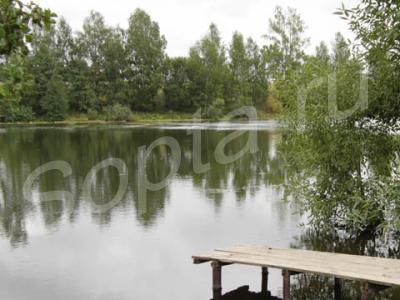 ��� ������� � ��������� ���� �� ������������ 