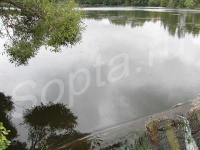 ��� ������� � ��������� ���� �� ������������ 