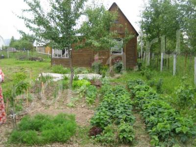 ��� � �������� �������� �� ���������