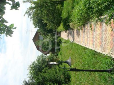 ���������� ����� ���