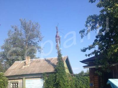 ��� ���� ���� �� 29 ���. 70 �� �� ���� �� �����