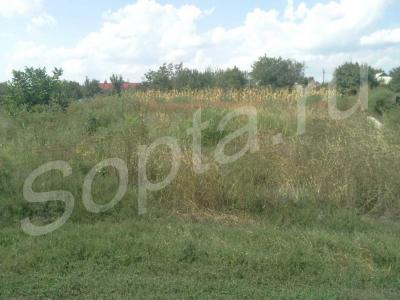 �������� 9 ����� ����� � �����������