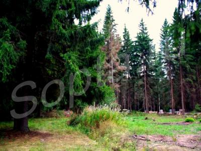 ������� �� ���������������� ����� 50 �� �� ����