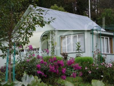 ������ ����� ��� ������������.