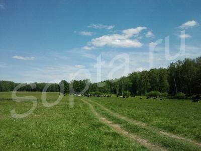 ������� �� ���������������� �., � ��������� �.