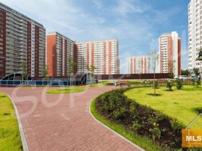 ������� 1-����. �������� �� ������