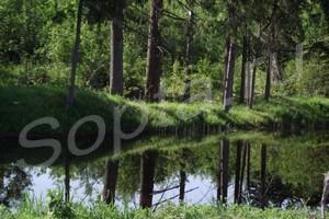 10 ����� (39 000 ������ �����) � ���������� ����