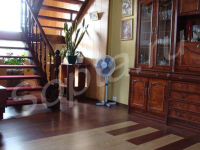 ������� ���� �� ������ � ����������-���������