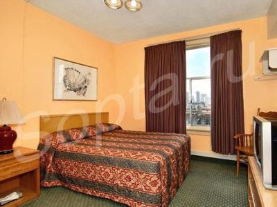 ���� ������� � ���������-����� ��������.