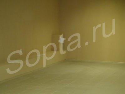 ���� �������� ���������