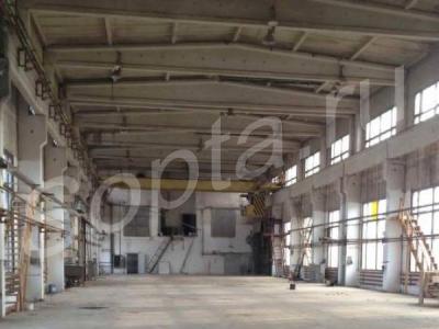 ���� ������������/�����/���� �. ������������