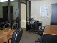 C���� ����, ��� �����������