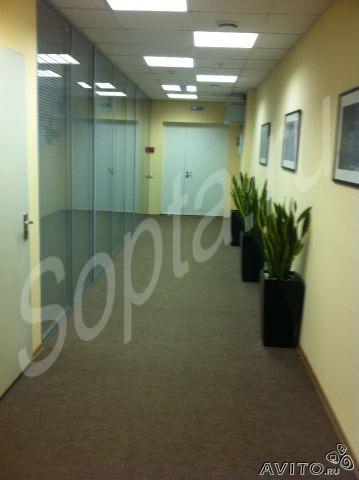 ���� ����, ��