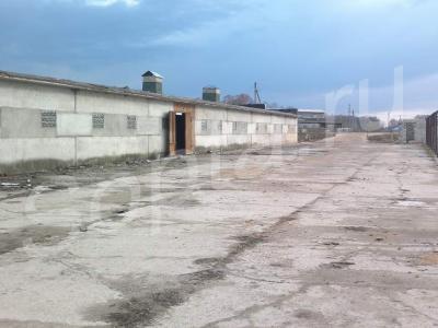 ������ � ������ ������ 1400 �2 � 130 �2 ( ���)