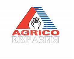 ������� �������� ��������� �����