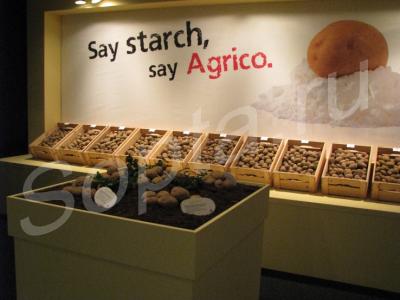 ������� �������� ��������� �����