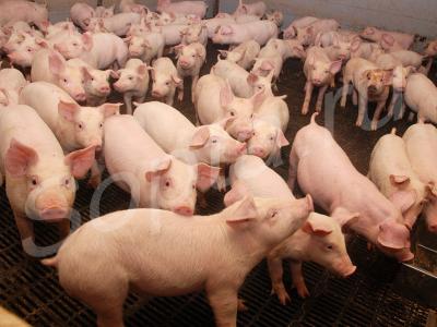 ������� ������ � ����� ����