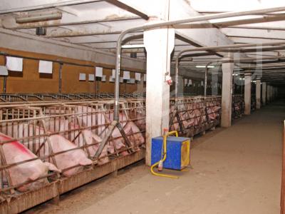 ������� ������ � ����� ����