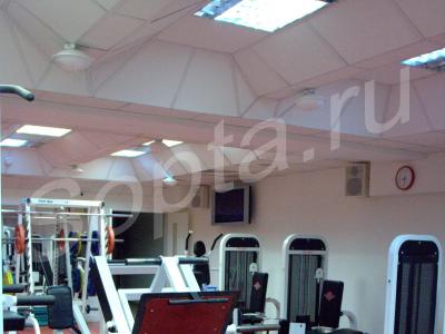 ���� ���� �������� ����,�-�� 