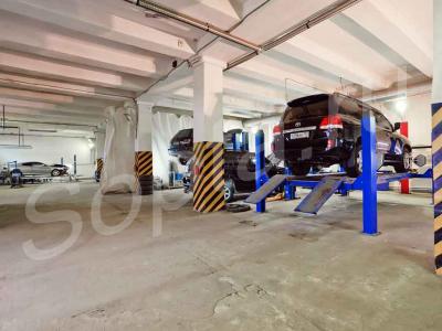 ���� ��������� 900��. �, ������������� ��������.