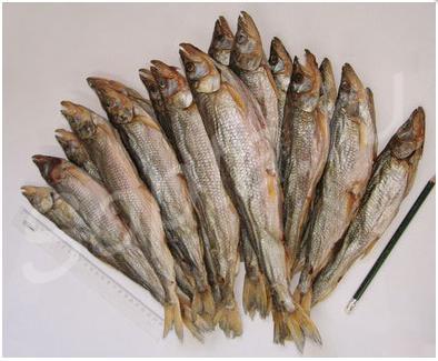 ������� ���� �����: �������, �����, �������