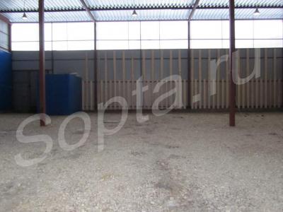 ������ ������ � ��������