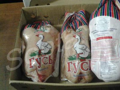 ���� �������, ����, ���. ������� � �������� �����