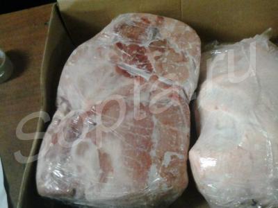 ���� �������, ����, ���. ������� � �������� �����