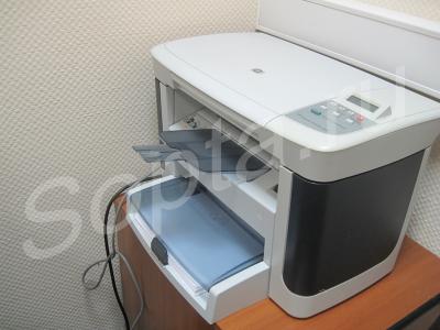 ���� ���� � ���, ����������, ������������