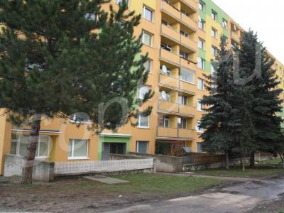 ������� �������� ���� �������� �������