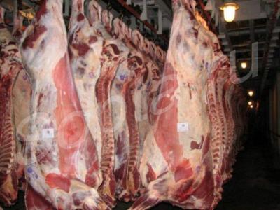 �������� � ��������� ����� c �����