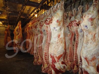 �������� � ��������� ����� c �����