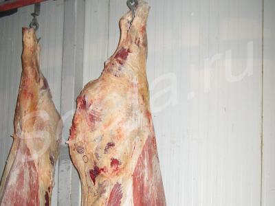 �������� � ��������� ����� c �����