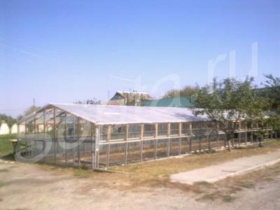 ���� ����������������� (�/�) ����