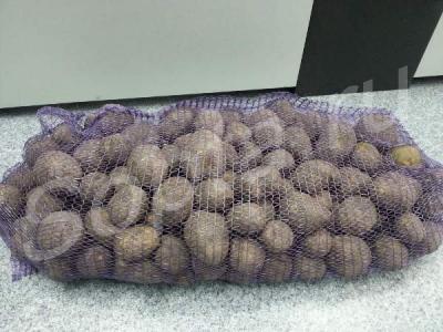 ���������, ������� �� ������